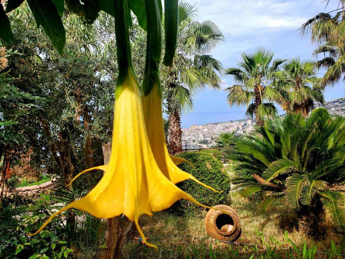 Villa Kristiano 21 Sarandë Exteriör bild