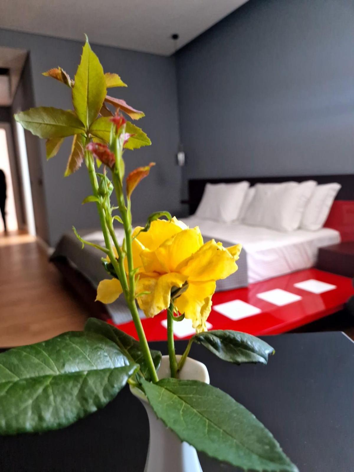 Villa Kristiano 21 Sarandë Exteriör bild